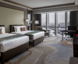 Премиум с двумя раздельными кроватями в Soluxe Hotel Moscow