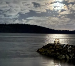 Номер Делюкс "Запад" в Времена Года