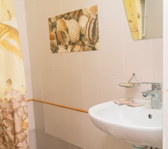  "ЛЮКС" Семейный, 2х комн. (№5) в Новый континент