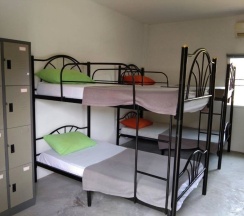 Кровать в общем номере в Monkey Samui Hostel