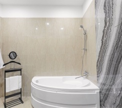 Лебеди в Agent flat
