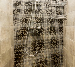 Двухместный стандарт в Аристоль