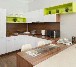 Studio Business в Radius Central House by Огни Rent