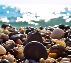 Пятиместный в Хурма и Мимоза