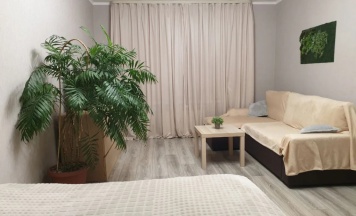 Двухместные апартаменты c 1 комнатой (двуспальная кровать) в Квартира BestApartPetergof