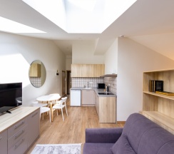 Студия комфорт с Мансардными окнами в Кarl House