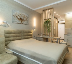 Tree №221  | Студия с видом на Волгу в Nort на Родионова