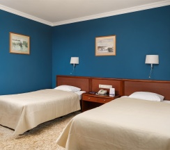 Стандартный улучшенный номер (две кровати) в Александровский сад