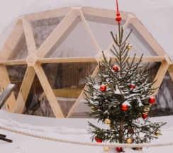 Глэмп №5 уединенный на берегу в Vyborg Bay