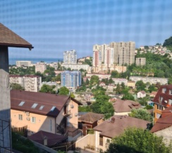 Номер стандарт с 1 двуспальной кроватью в Паночка