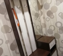 Двухместный просторный номер в Родина