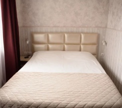 Стандартный двухместный номер в Парк-л