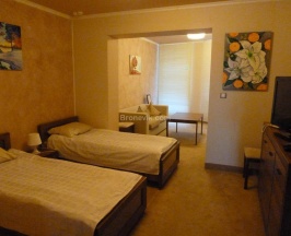 Номер полулюкс с 2 односпальными кроватями в Караськово