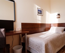 Одноместный номер в Аист