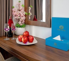 Одноместный номер Deluxe с видом на город в Gold Plaza Hotel Da Nang