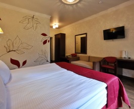 Двухместный номер Standard с 2 комнатами двуспальная кровать в Grand shale