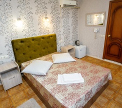 1-местный номер стандарт в Звездная