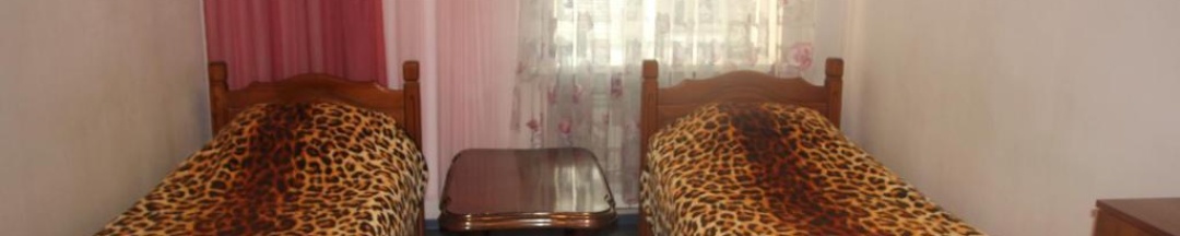 Номер стандарт с 2 односпальными кроватями (с завтраком) в Водолей