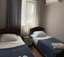 Двухместный номер Economy 2 отдельные кровати в Панорама