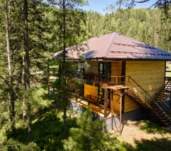 family studio в Серебряный источник