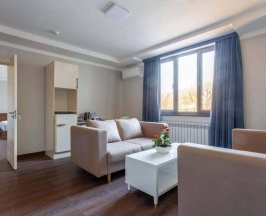 Двухместный люкс Business двуспальная кровать в Rich Park Hotel