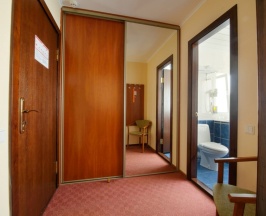 Двухместный номер Улучшенный двуспальная кровать в Гостиница Спутник