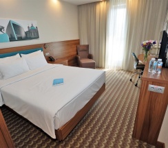 Номер стандарт с 1 двуспальной кроватью в Hampton by Hilton Ufa