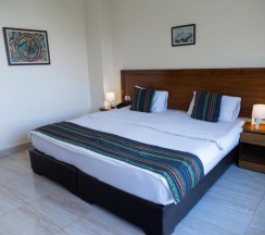 Двухместный номер Standard двуспальная кровать в Antika Amman Hotel