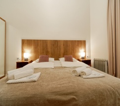 Двухместный номер с двуспальной или двумя односпальными кроватями и допместом в Светлый у Эрмитажа