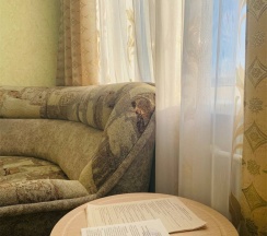 2-х комнатный "Люкс" в Химик