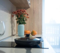 4-местные апартаменты делюкс в Москва