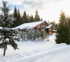 Коттедж ВИП №1 в Дивная бухта Селигер