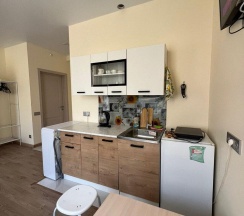 1-комнатные апартаменты студия Тургенева 10\2 в ApartRent