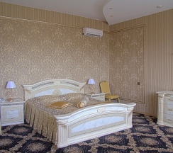 Президентский Люкс/Presidential Luxe Double Room (двухкомнатный номер с одной двуспальной кроватью). в Воронеж