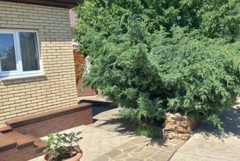 Старая Станица (Старостаничное сп): Гостевой дом Гостевой дом Юг