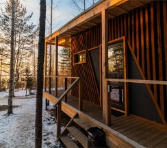 Номер «Березовая роща» в Aldi-Karelia