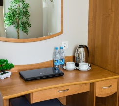 Двухместный стандарт в Аристоль