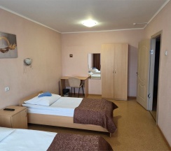 Улучшенный номер 1 категории в Патриот