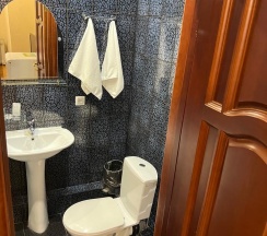 Номер стандарт эконом с 1 двуспальной кроватью в Лесная поляна