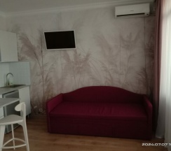 Студия в Альзас
