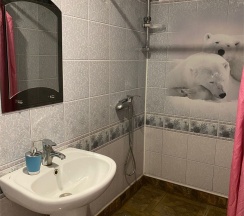 Стандартный двухместный номер в Sheremet