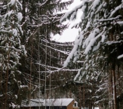 Барнхаус №2 в Илеть