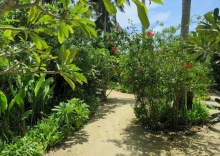 Бунгало в Seaflower Bungalows