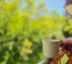 Апартаменты студия с 1 двуспальной кроватью кв. 25 в Deluxe apartments