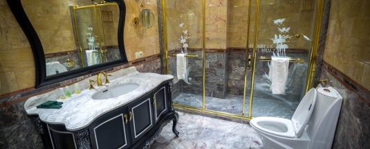 Делюкс в Artis plaza hotel