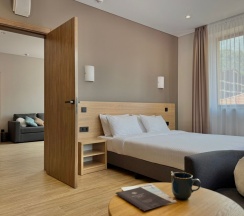 Люкс без балкона в Вертикаль