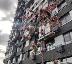 Квартира в Апартаменты на Московская область, Люберцы, 8 марта 48 к.1