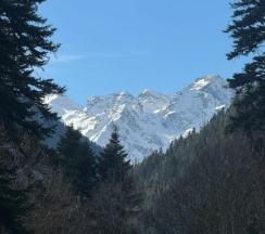 Стандарт в Potap