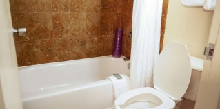 Доктор-Филлипс: Отель Rosen Inn International