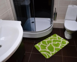 Двухместный номер с 2 отдельными кроватями в Грин